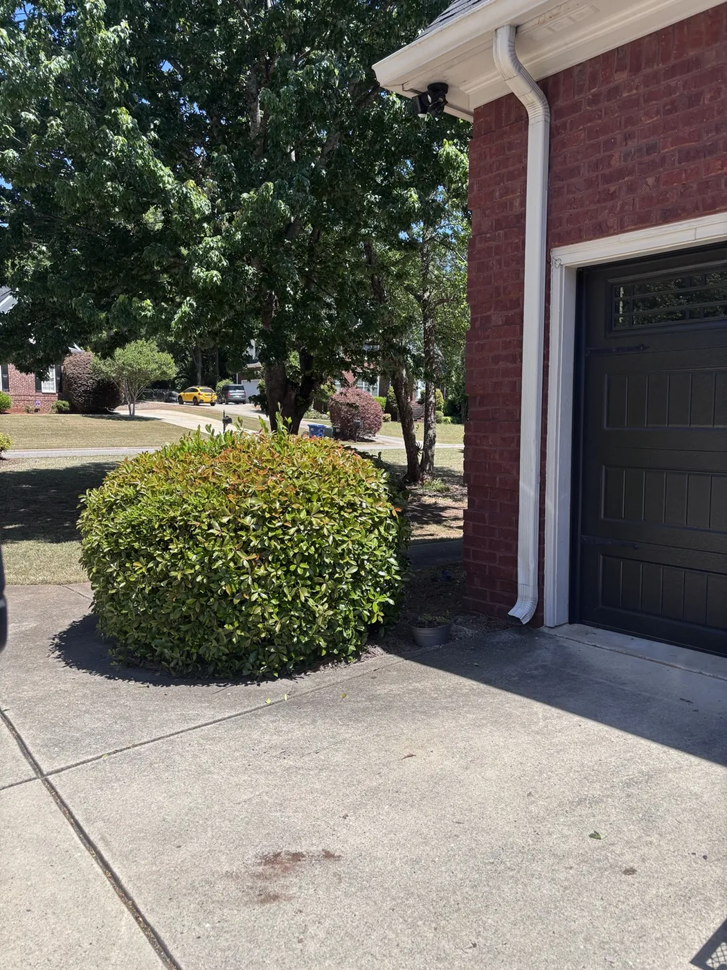 House Cleanout & Furniture Donation in Athens, GA — after