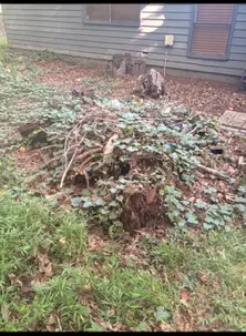Wood and mixed yard debris before removal from a Kennesaw property