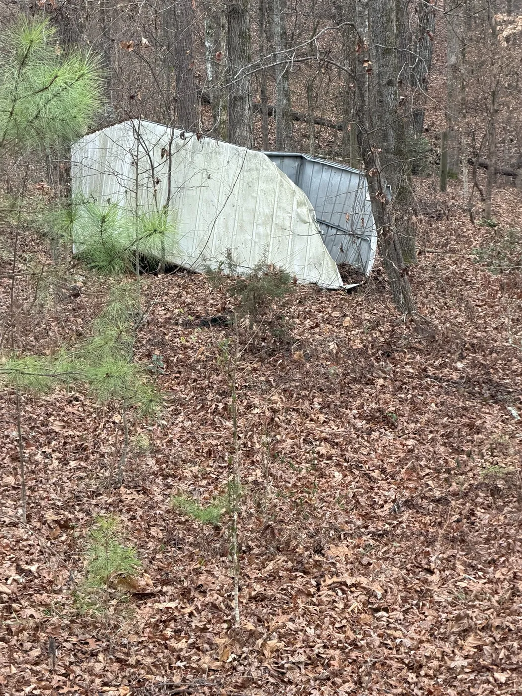 Shed Demolition & Property Cleanup in Watkinsville, Georgia