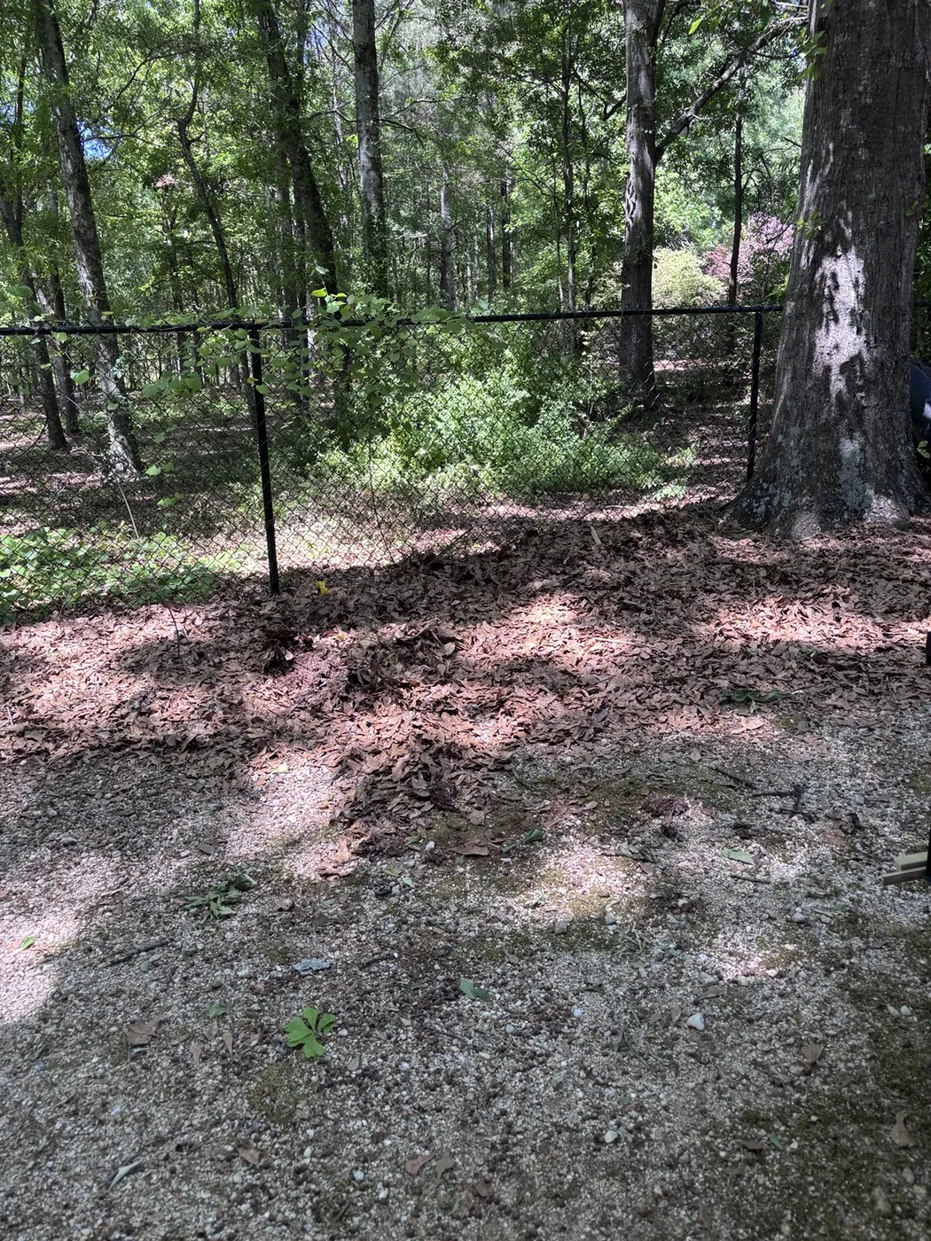 Property Cleanup in Winder, GA — after