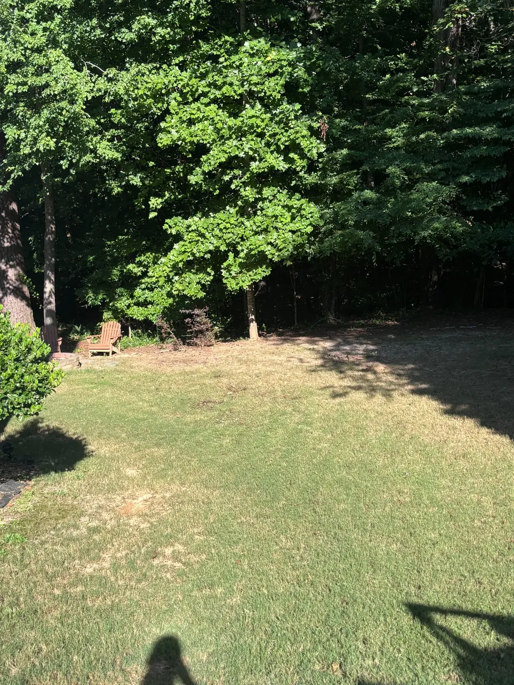 Open Woodstock backyard after playset and trampoline removal