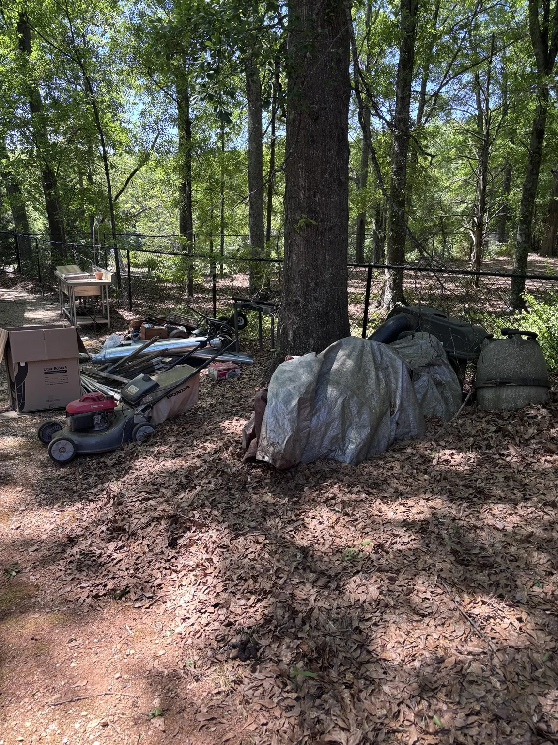Yard Waste & Storm Debris Removal project by Trash Talkers